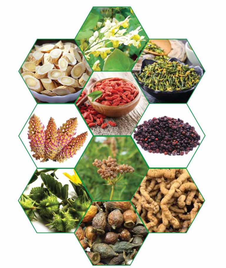 THẢO DƯỢC TĂNG CƯỜNG SINH LÝ NAM GIỚI